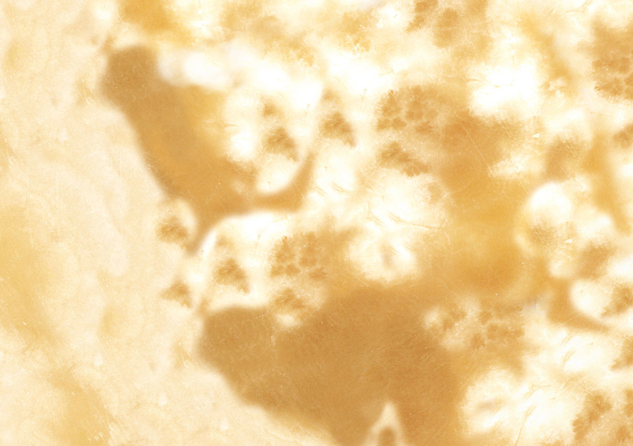 Alabastro Egiziano - View 1