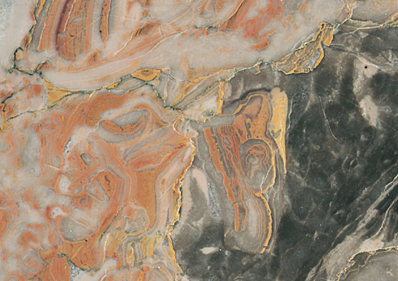 Arabescato Orobico Rosa - View 1