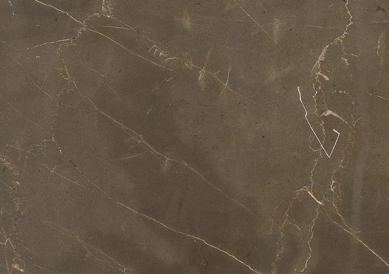 Armani Brown - View 1