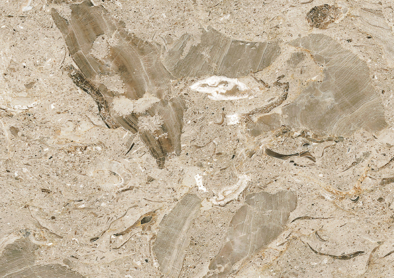 Aurisina Fiorita - View 1