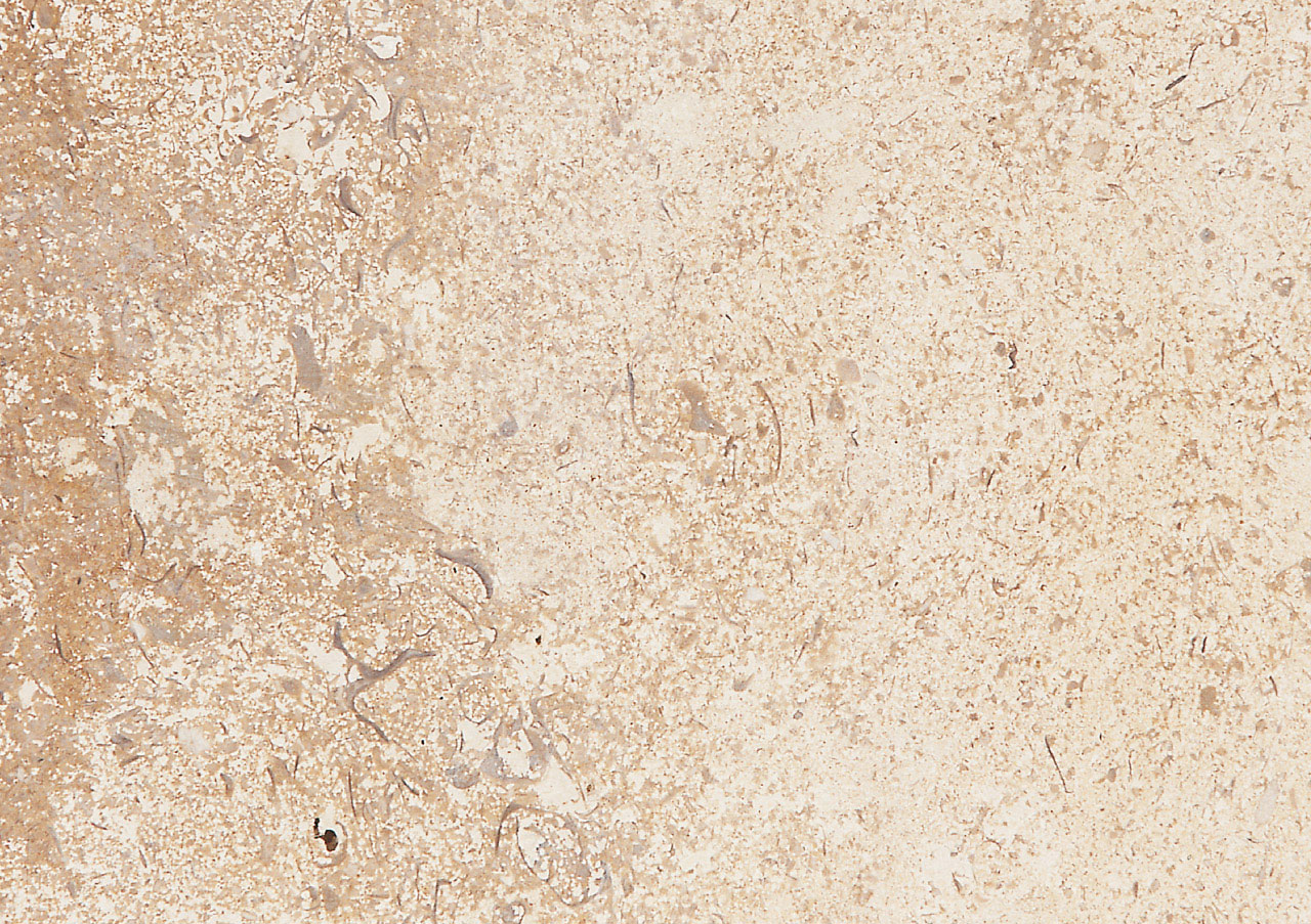 Beaumaniere Classic - View 1