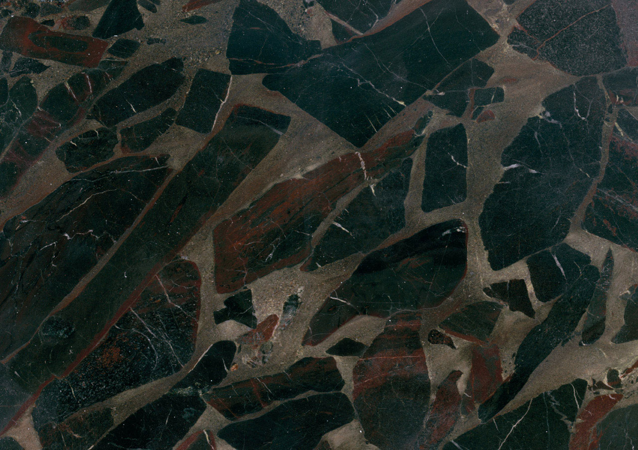 Black Beauty - View 1