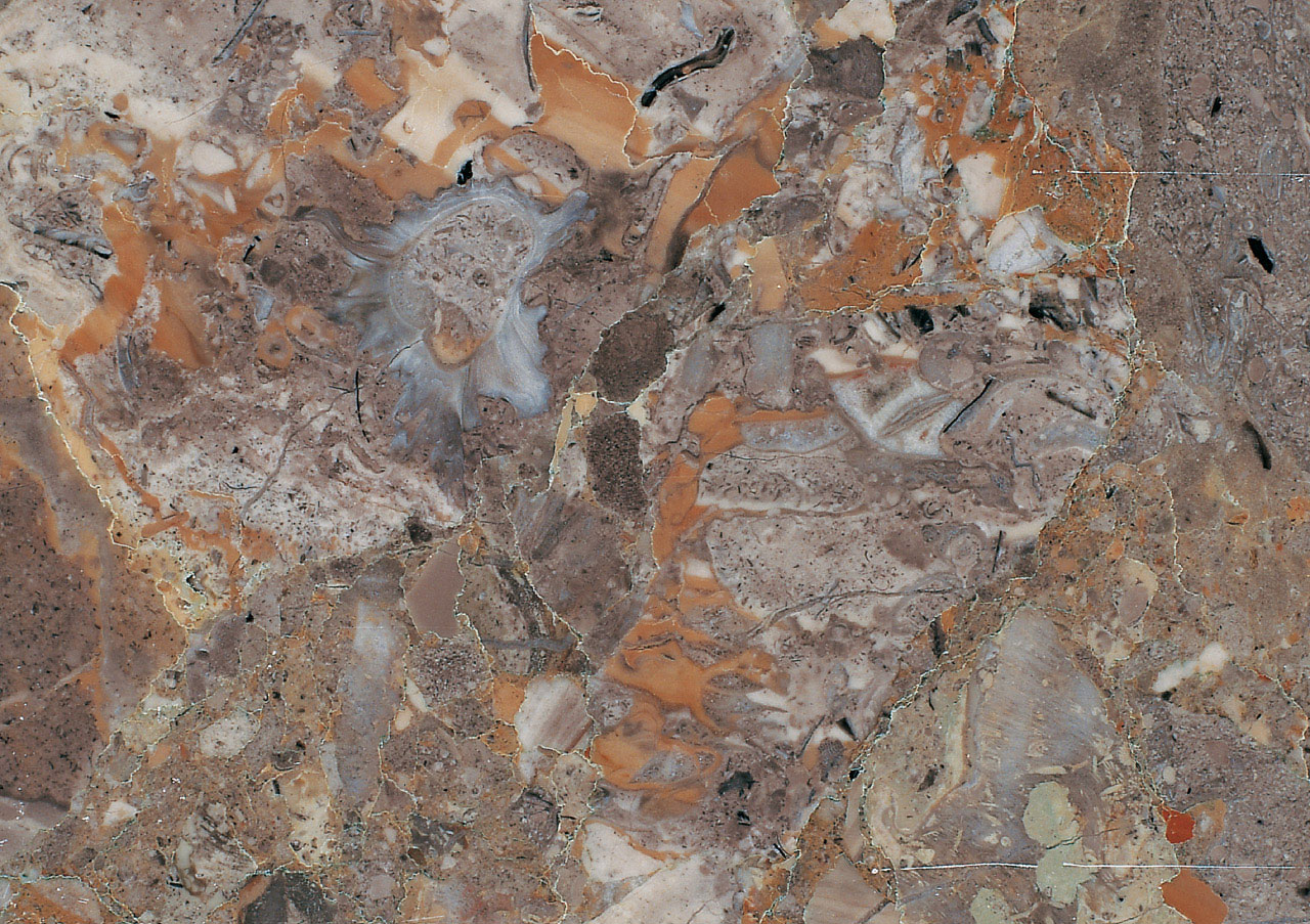 Breccia Estrella - View 1