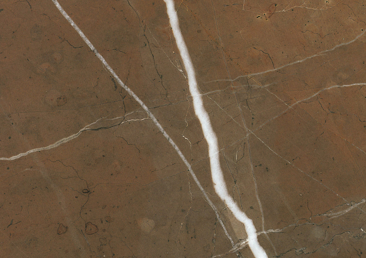 Brown Collemandina - View 1