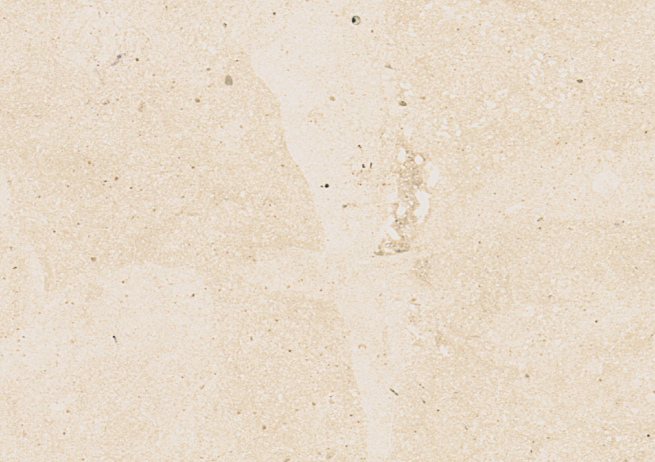 Cremo Sicilia - View 1