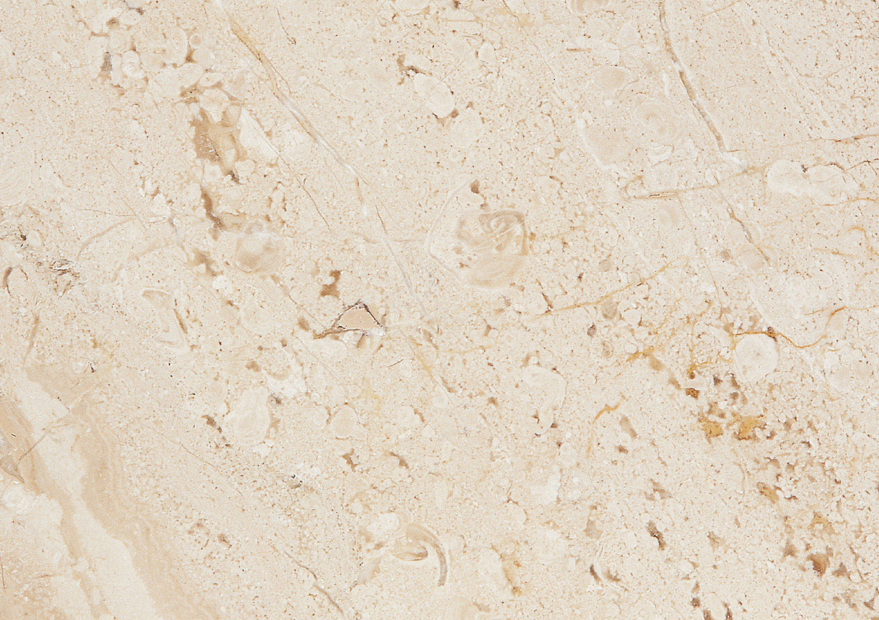 Daino Reale - View 1