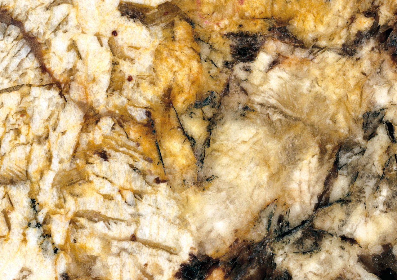 Delicatus Brown - View 1