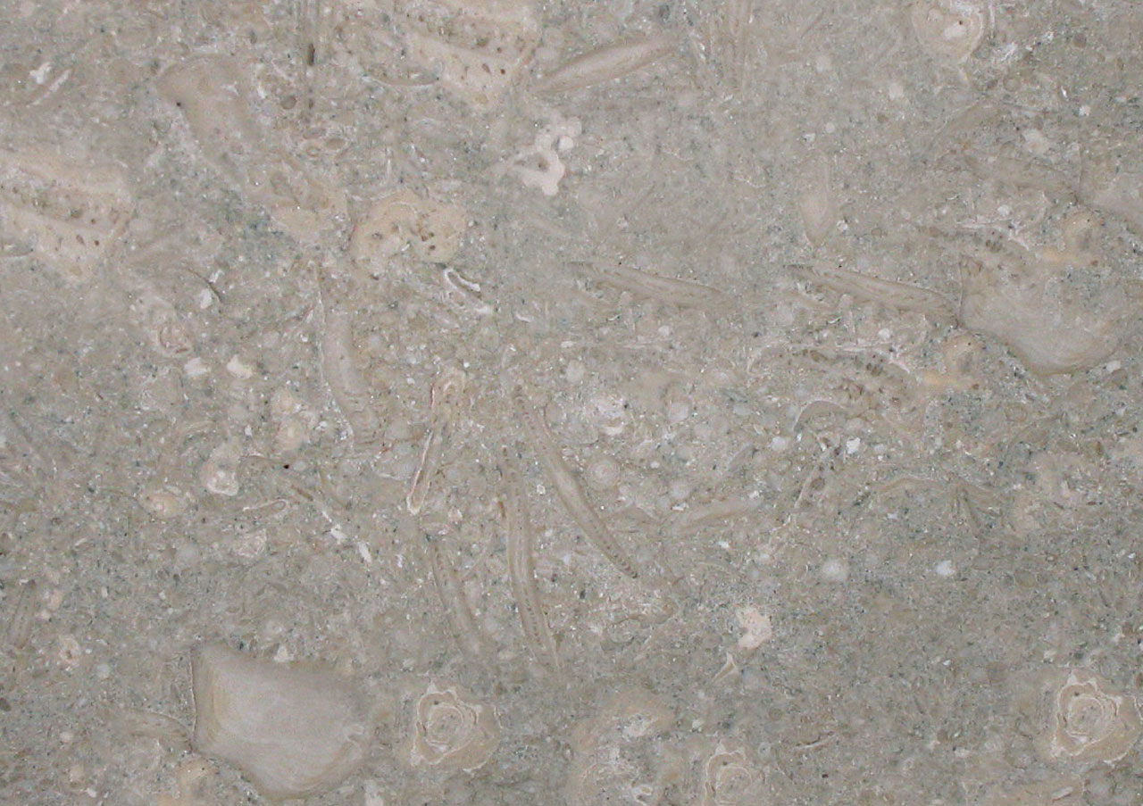 Fossil Limestone - View 1