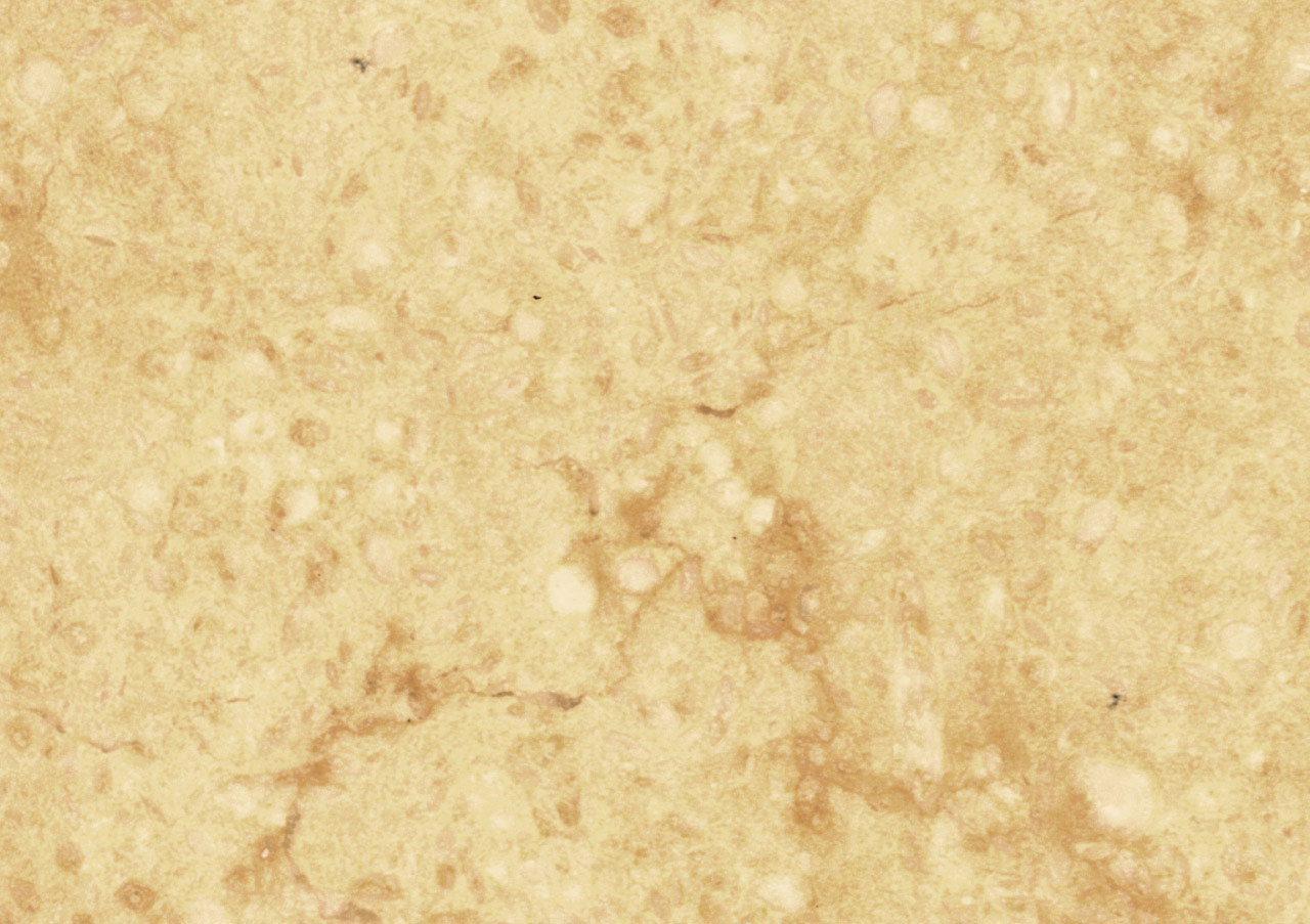 Giallo Cleopatra - View 1