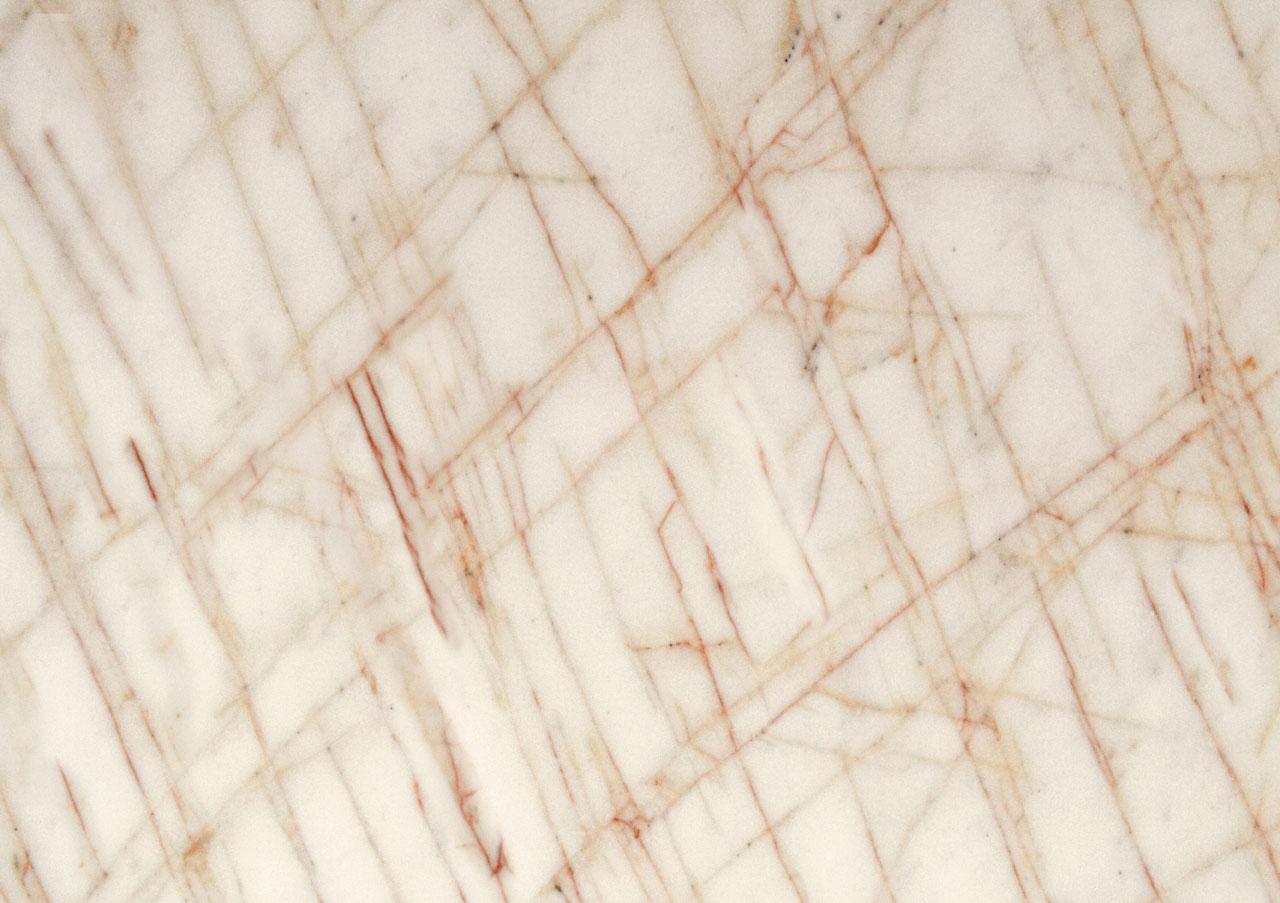 Golden Spider - View 1