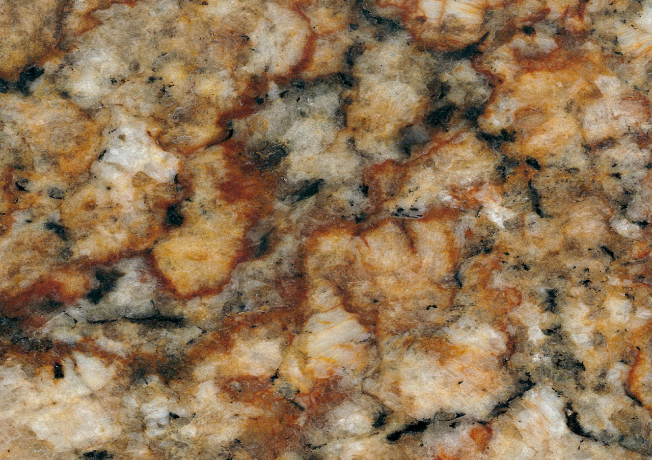 Golden Taupe - View 1