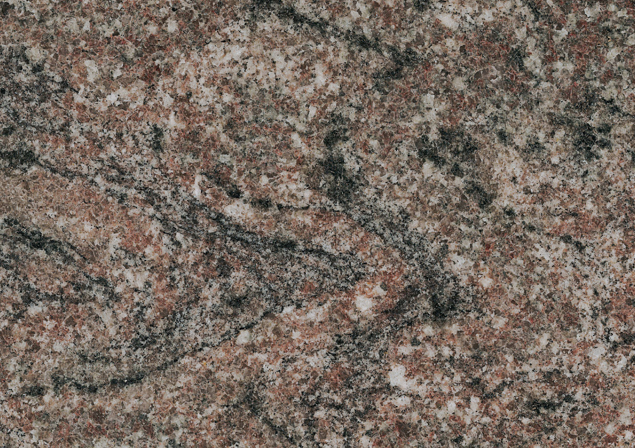 Gran Violet - View 1