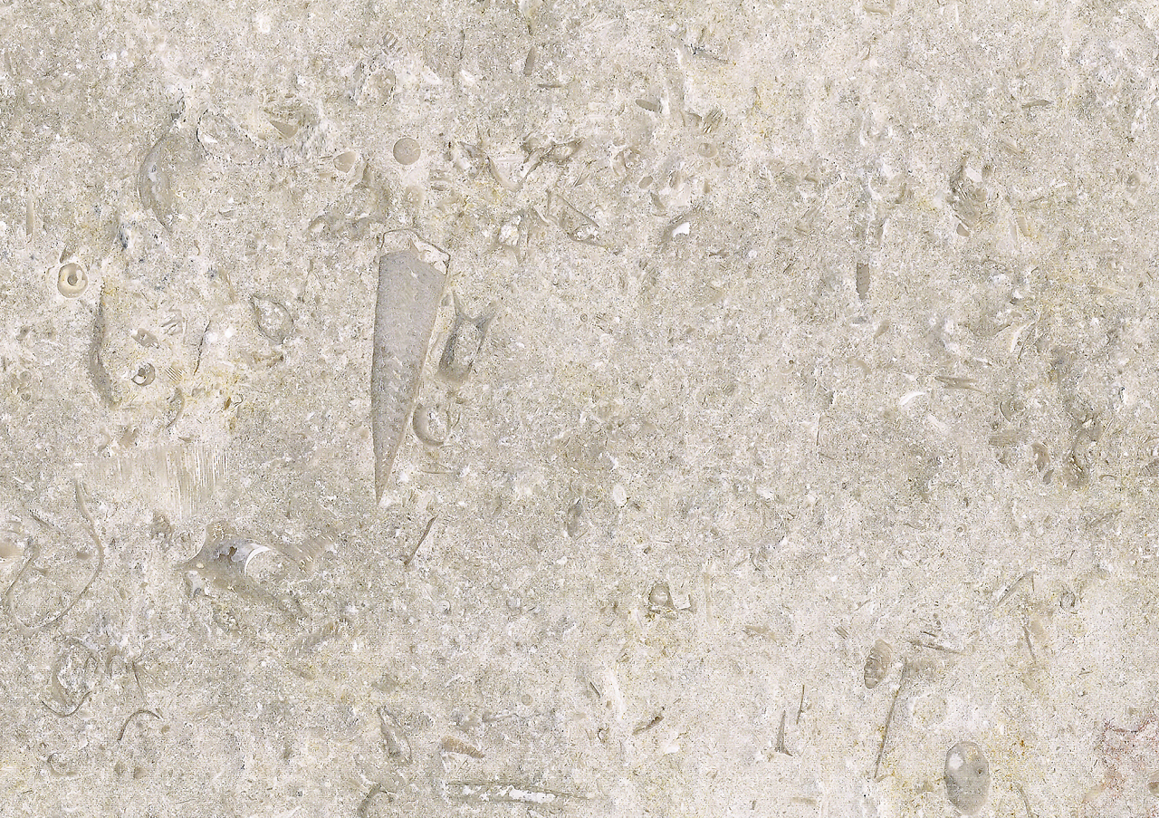 Jerusalem Gold - View 1