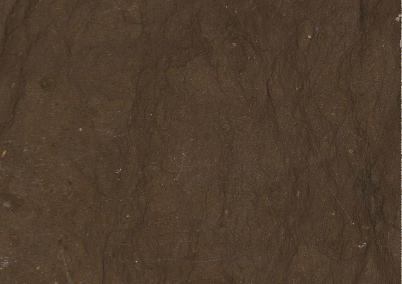 Kaesar Brown - View 1