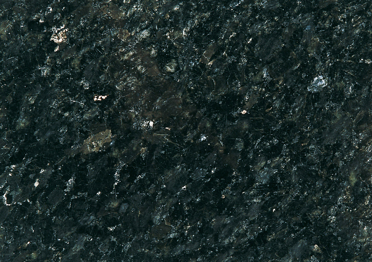 Labrador Black - View 1