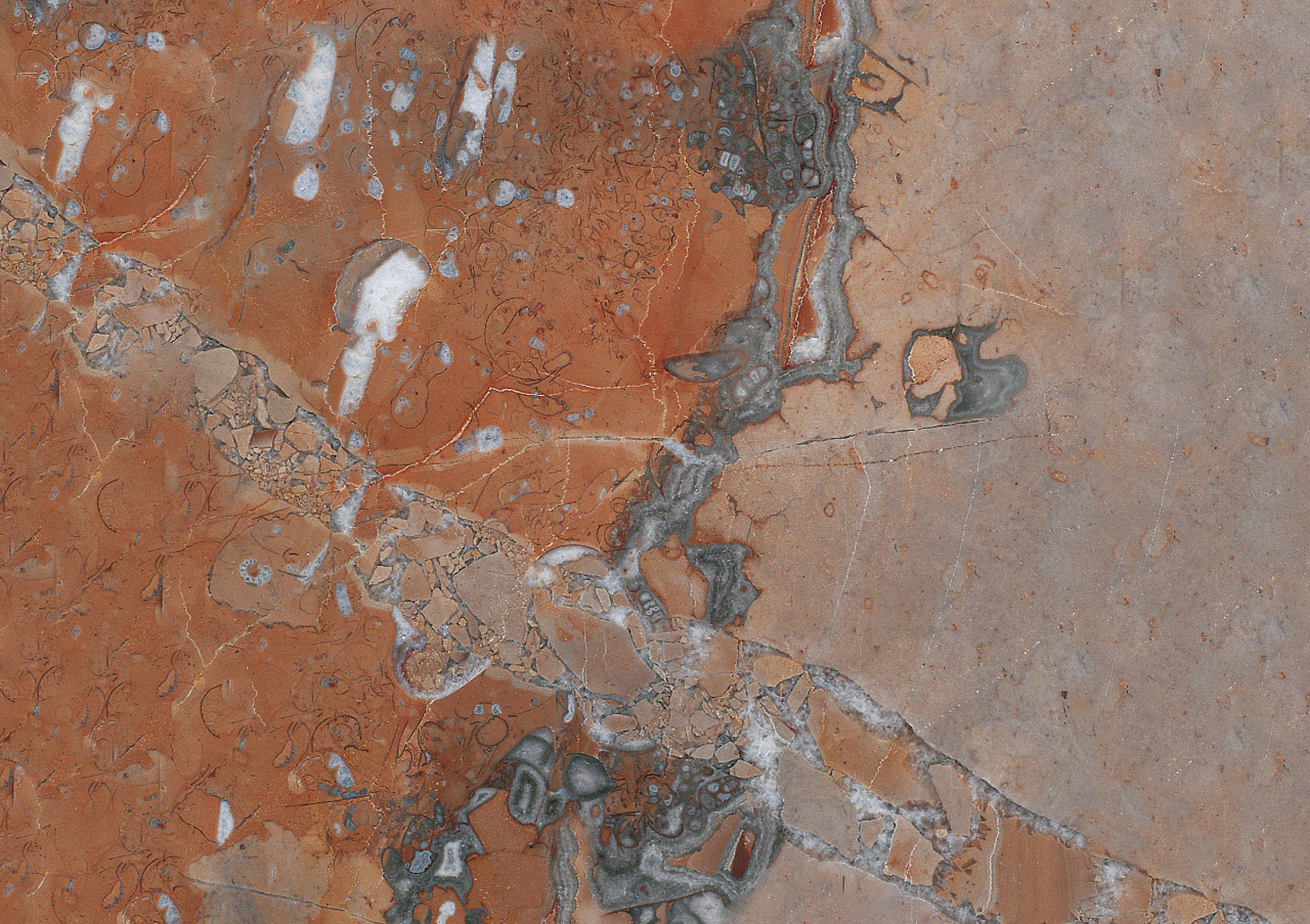 Noisette Fleury - View 1