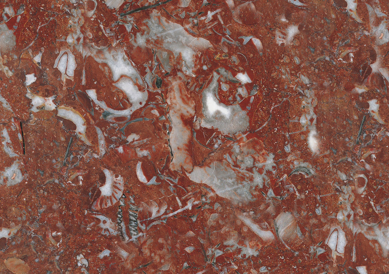 Rojo Daniel - View 1