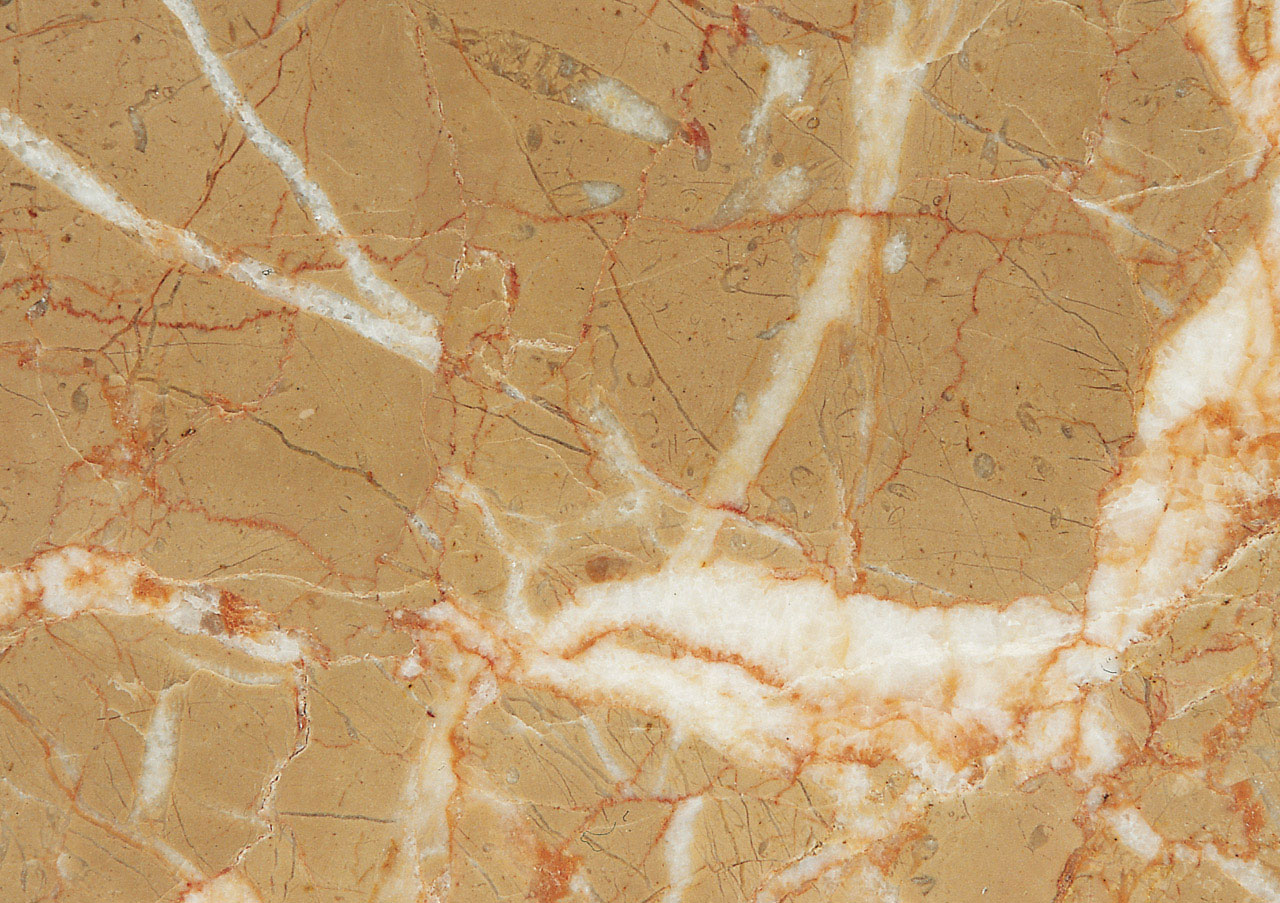 Rosa Atlantide - View 1