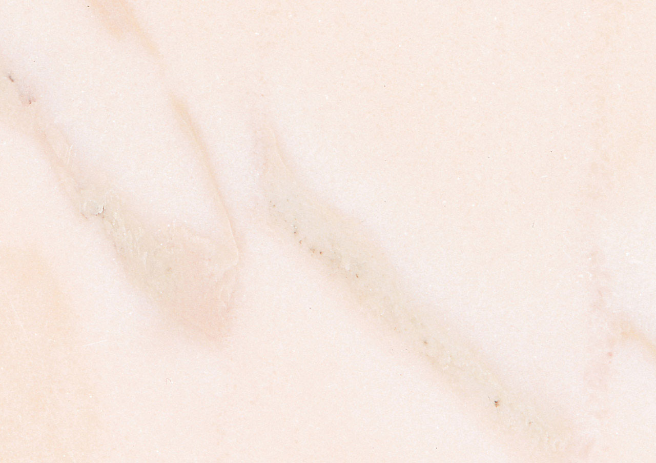 Rosa Aurora - View 1