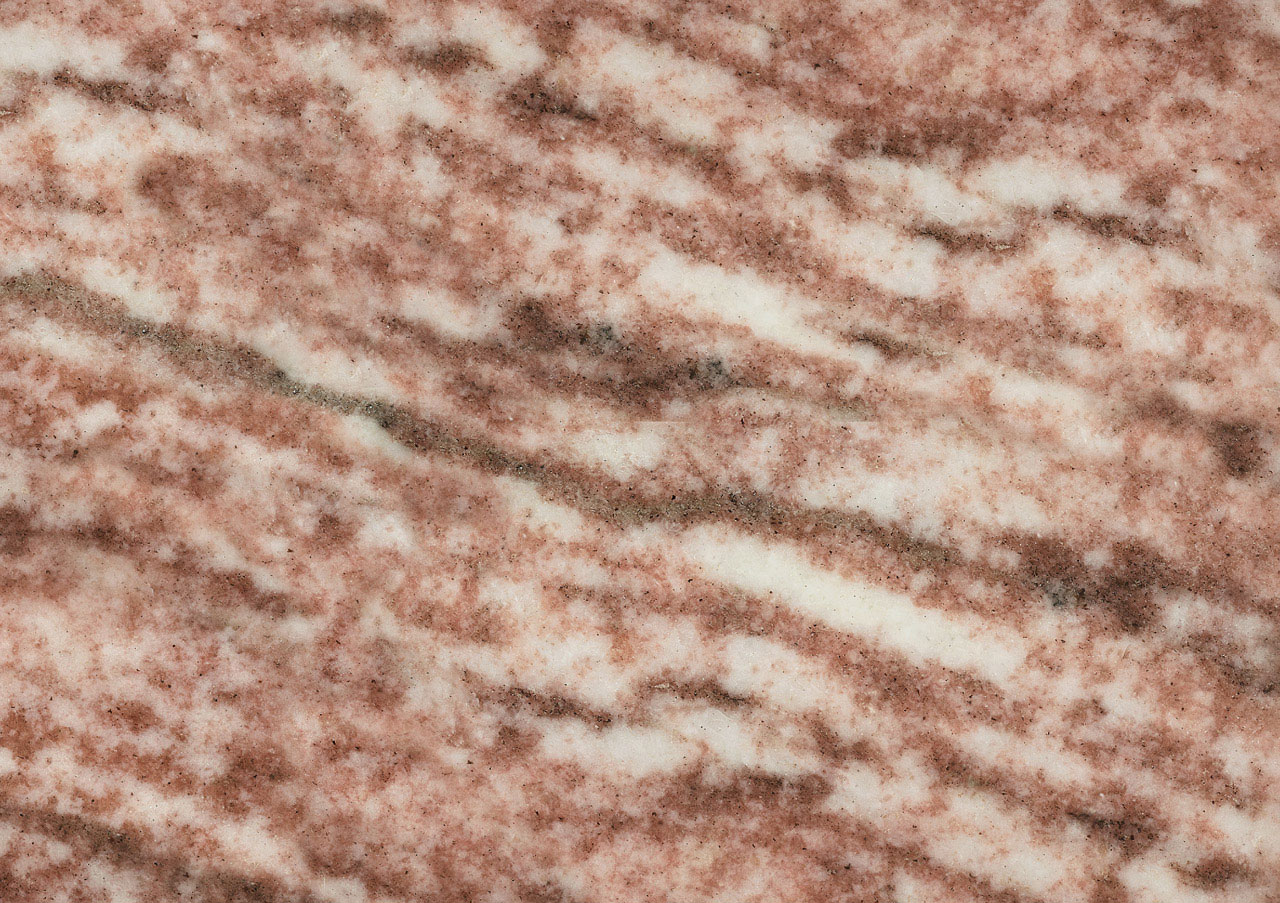 Rosa Brasile - View 1