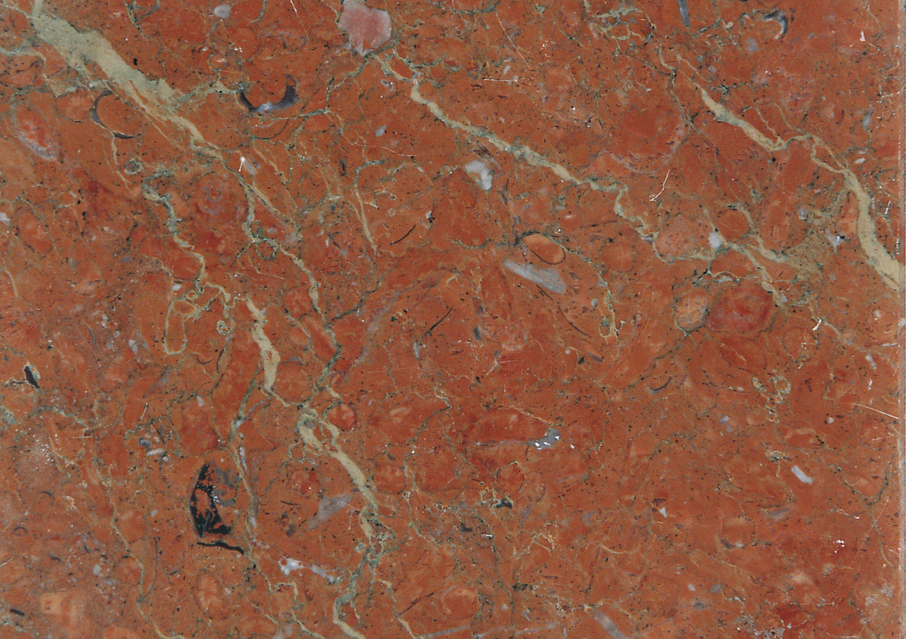 Rosa Doucquesa - View 1