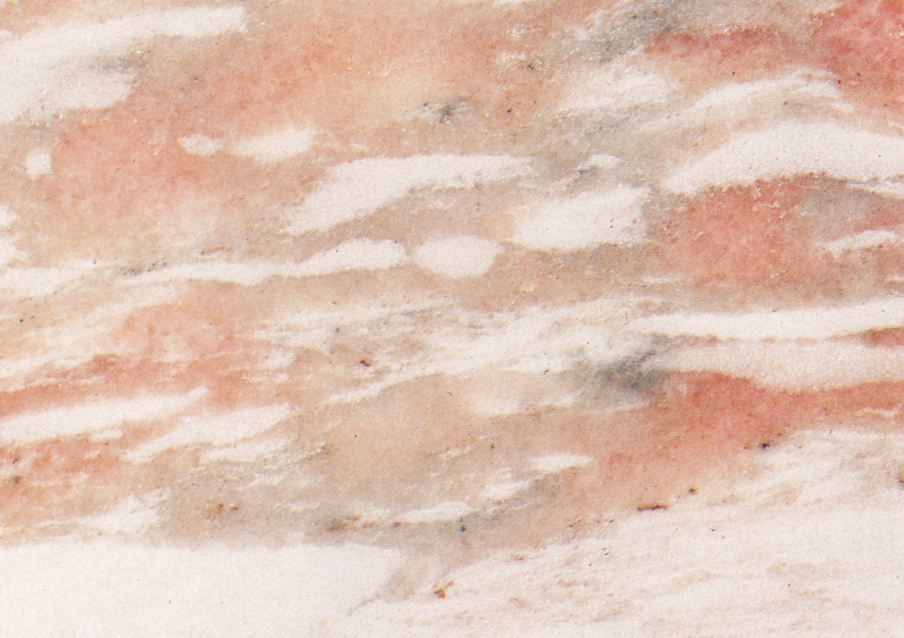 Rosa Norvegia - View 1