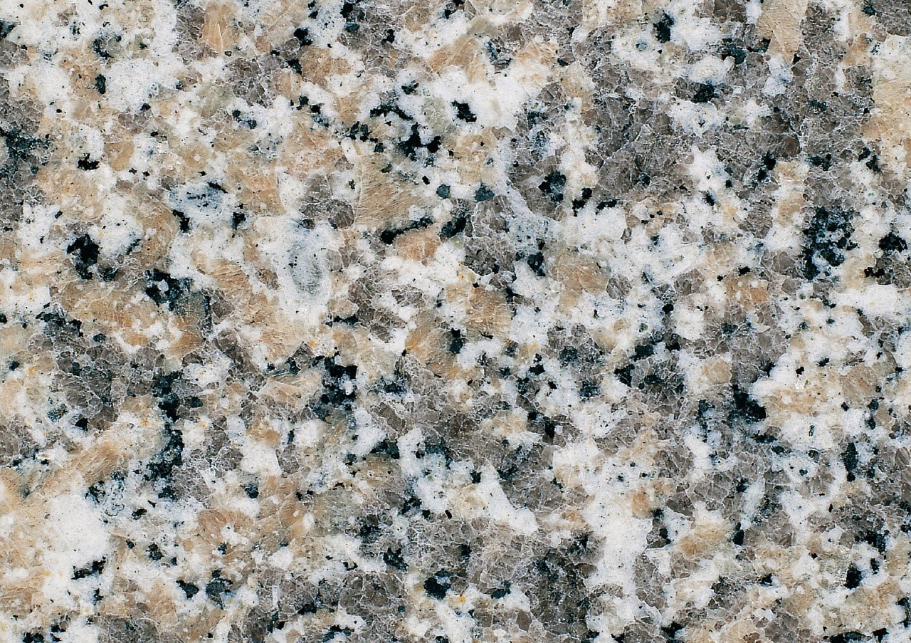 Rosa Sardo Champagne - View 1