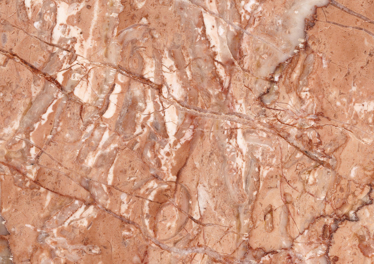 Rosa Spring - View 1