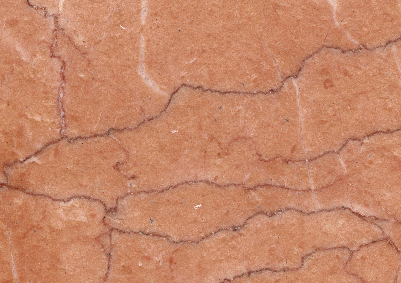 Rosa Valencia - View 1