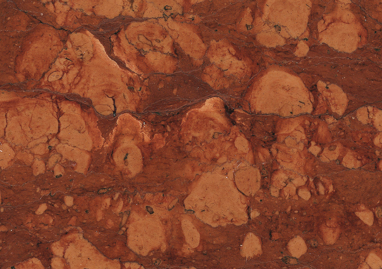 Rosso Mangiaboschi - View 1