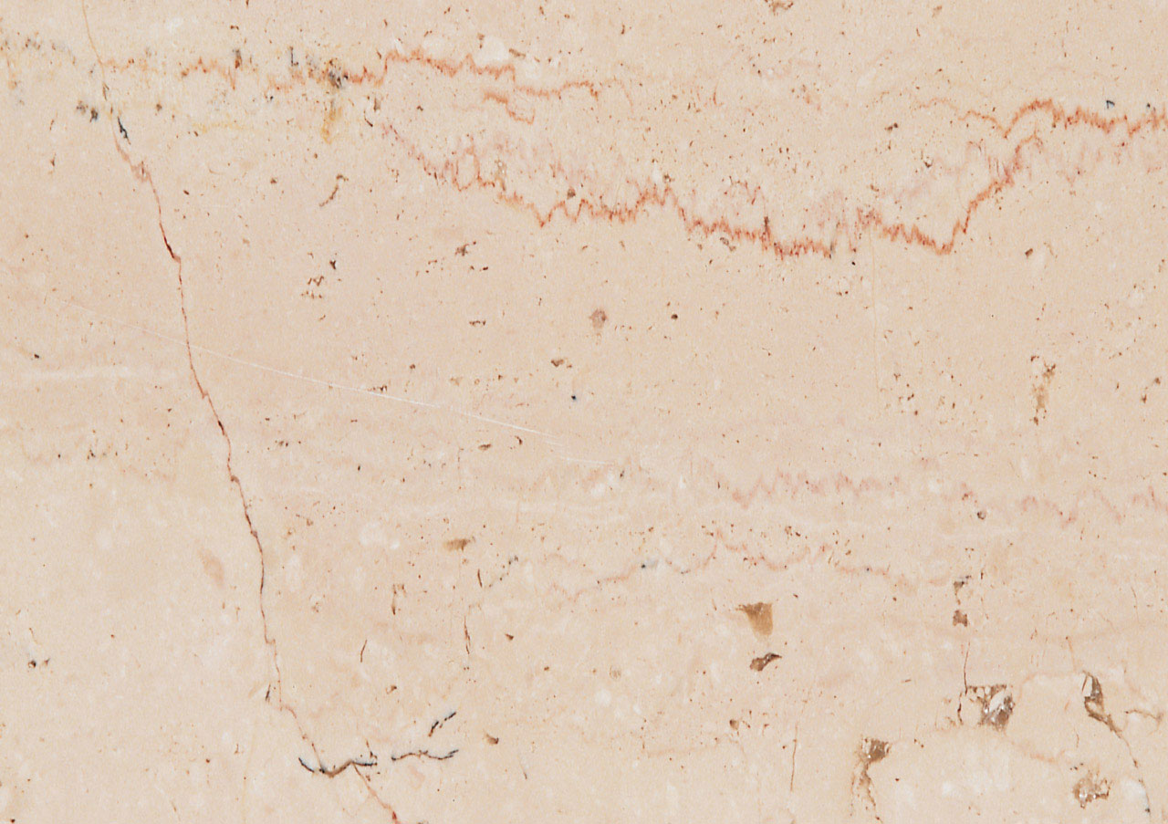 Trani Fiorito - View 1