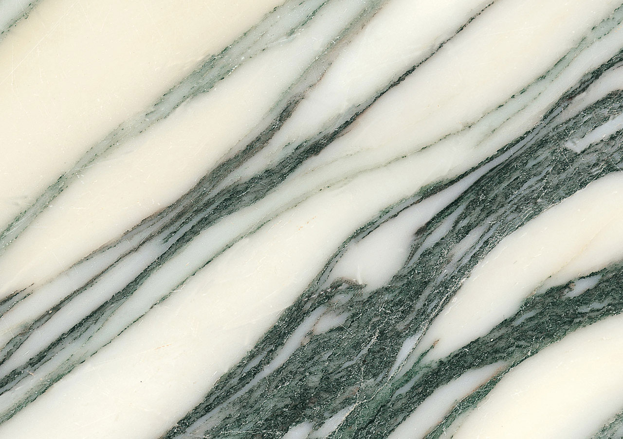 Venato Fantastico - View 1