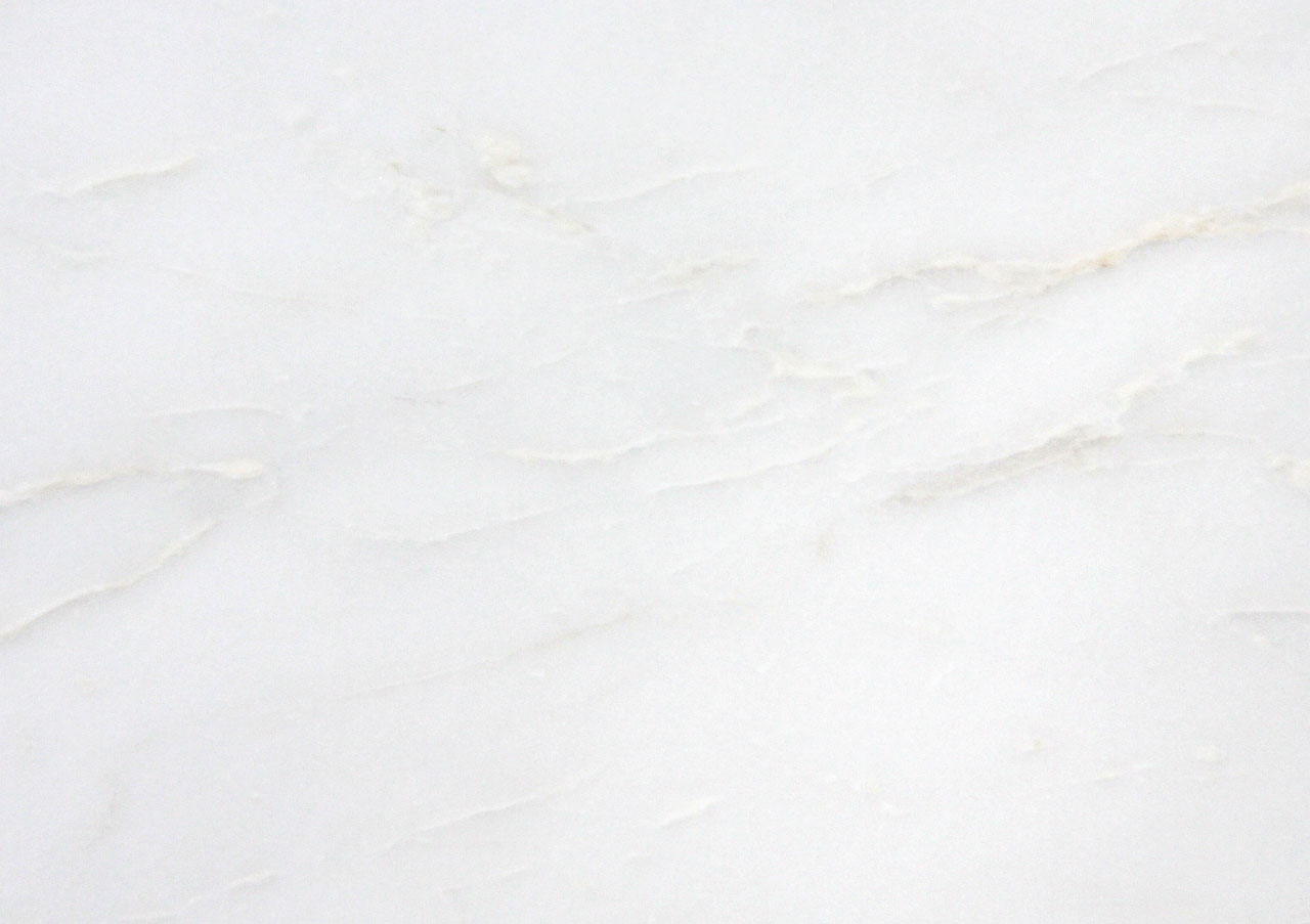 White Rhino - View 1