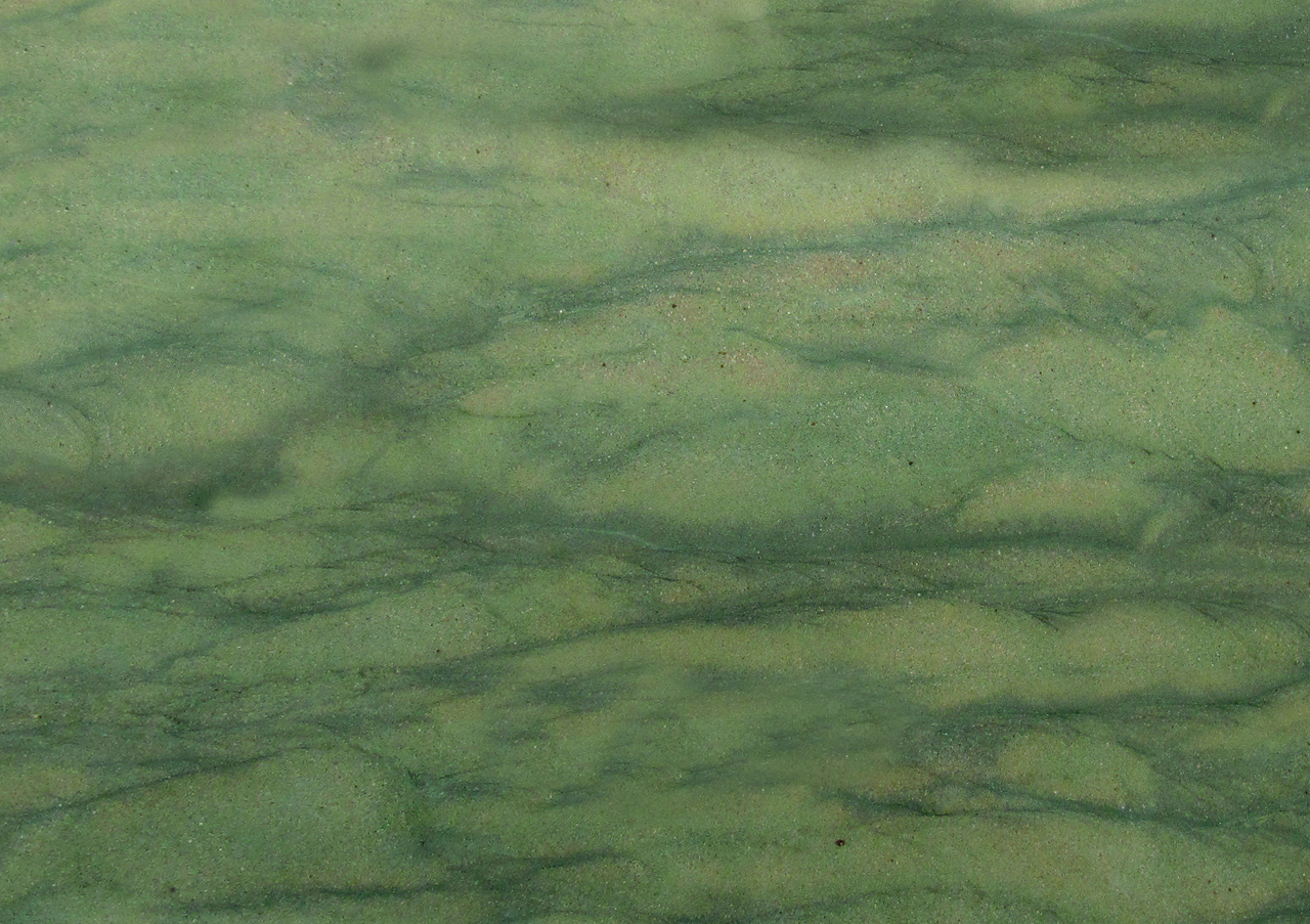 Wild West Green - View 1