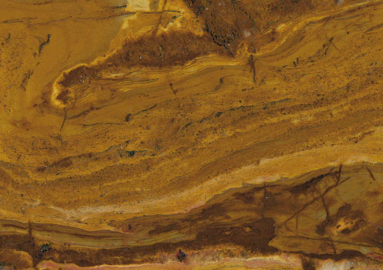 Yellow Bamboo - View 1