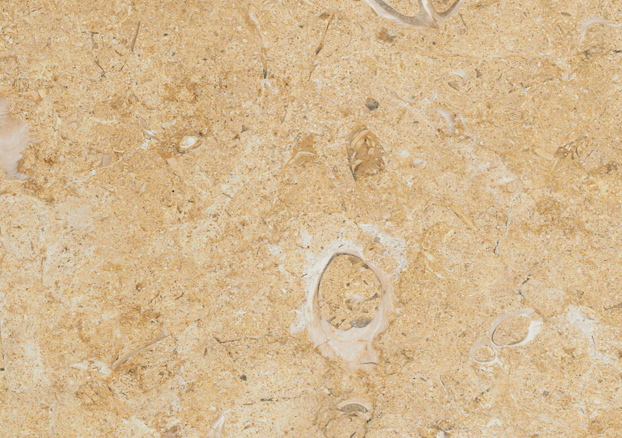 Yellow Dream - View 1