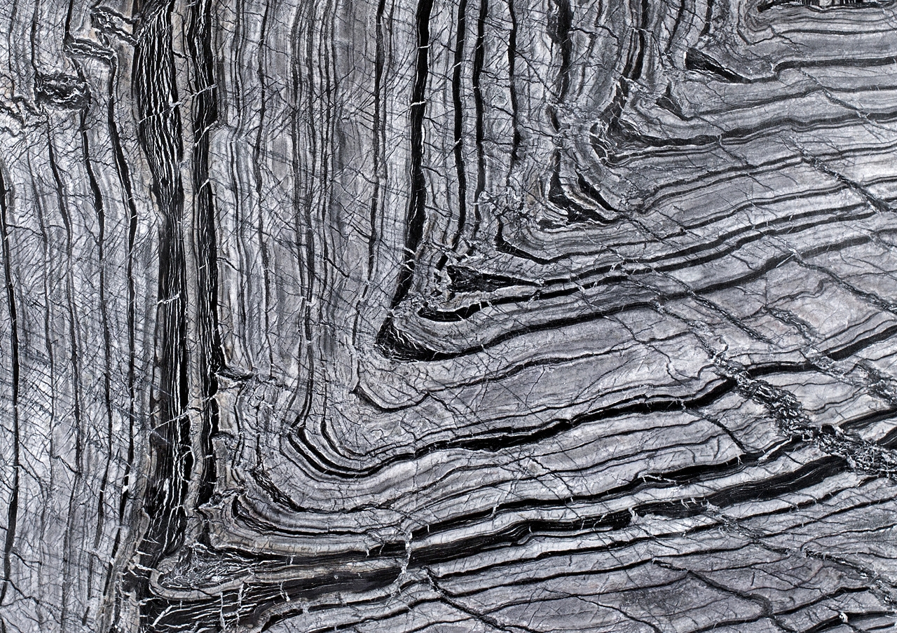 Zebra Black - View 1